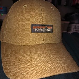 Brown Patagonia snap back